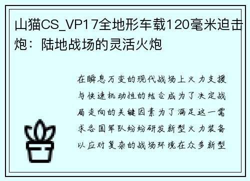 山猫CS_VP17全地形车载120毫米迫击炮：陆地战场的灵活火炮